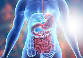 Stomach chronic disease through hijama therapy